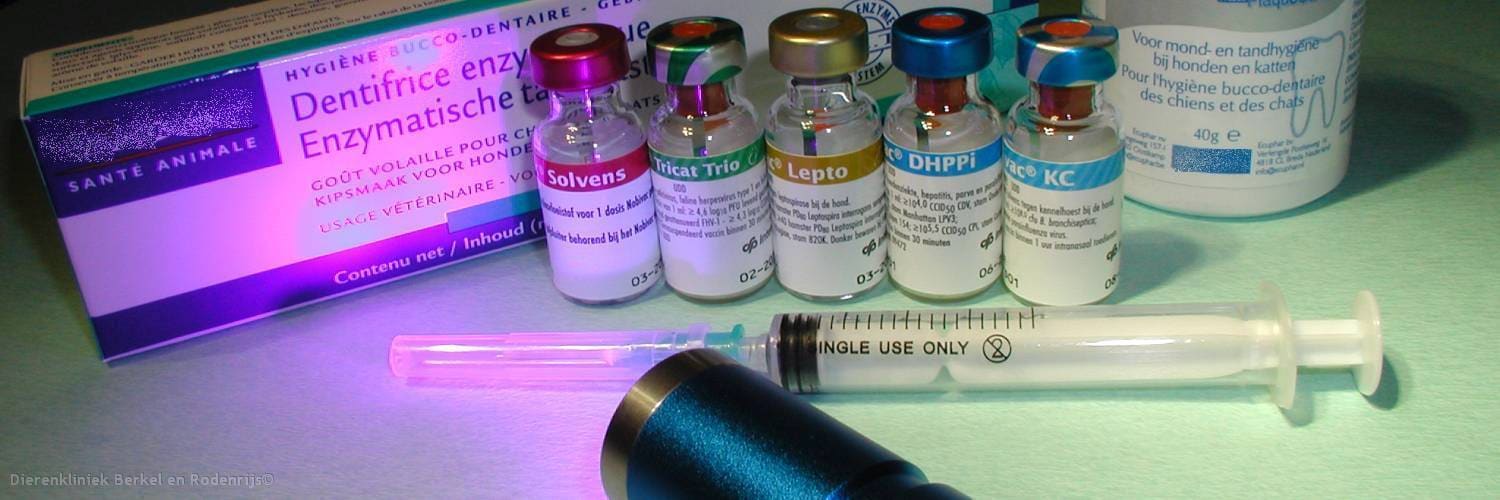 Vaccins, een spuit en producten voor de gebitsverzorging van honden en katten