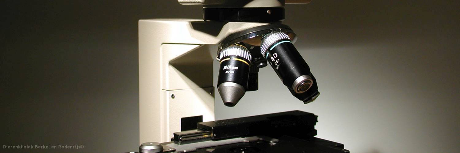 De microscoop waarmee onderzoek in de eigen kliniek wordt gedaan