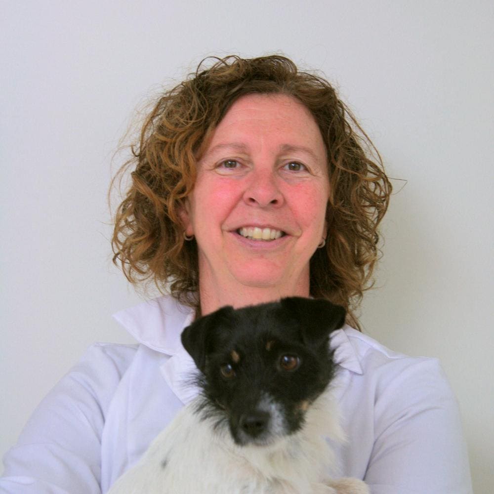 Portret van een dierenarts van de kliniek met een jack russell op de arm
